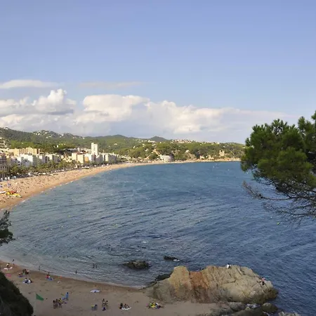 - El Amigo * Lloret de Mar