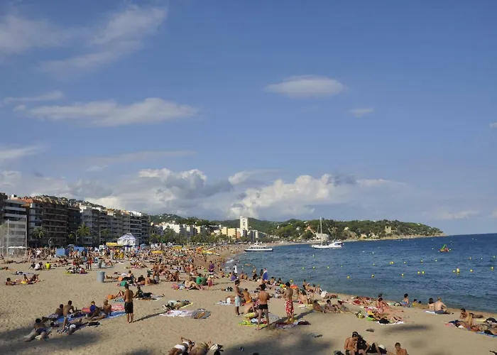 - El Amigo Lloret de Mar